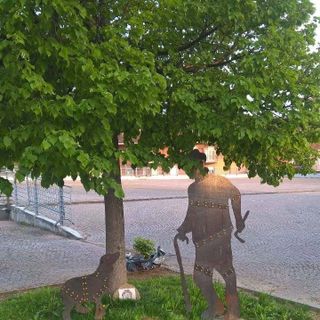 “Tartufi: un patrimonio da preservare”: a Mondovì un convegno con il Comizio Agrario e i trifolao