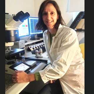 Domenica 29 ottobre ad Alba appuntamento con Musica Scienza