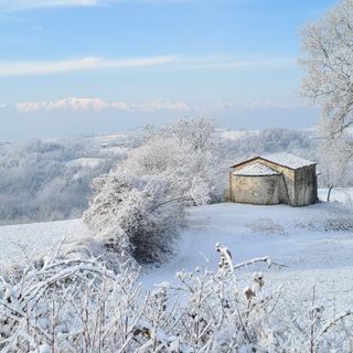 Immagine di repertorio