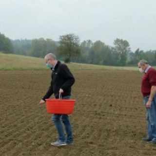 A Niella Tanaro prosegue il progetto dedicato alla valorizzazione dei grani antichi