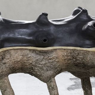 Fondazione CRC e Castello di Rivoli presentano le opere di Giuseppe Penone a Cuneo