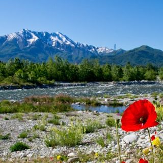 Sarà una primavera ricca d’iniziative per il decennale del Parco fluviale Gesso e Stura