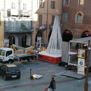 Il pino di piazza Manfredi, Fossano