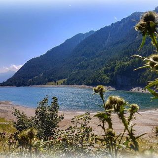 Foto Cristina Capellino