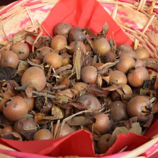 Farigliano si prepara alla Fiera dei Puciu e di San Nicolao