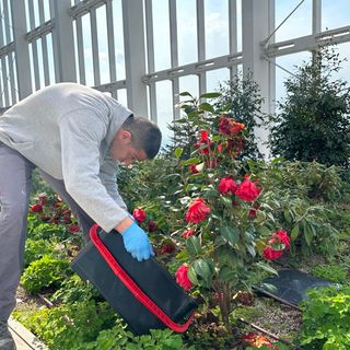 Cirio risponde agli ambientalisti: “Grazie del letame, lo useremo come concime” Cirio risponde agli ambientalisti: “Grazie del letame, lo useremo come concime”