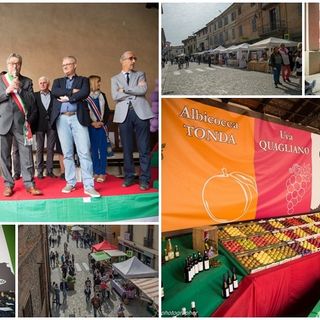 Le immagini della kermesse (Foto MAURO PIOVANO)