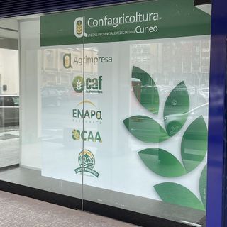 La nuova sede