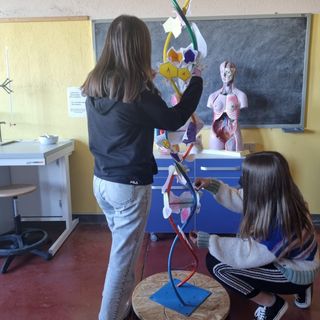 Alcuni momenti delle attività