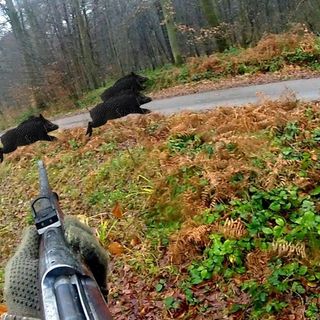 Immagine di repertorio