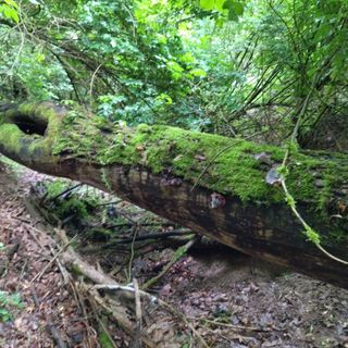 All’Oasi San Nicolao di Canale, le celebrazioni della Diocesi di Alba per la Giornata Mondiale di Preghiera per la Cura del Creato