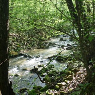 In Alta Langa inaugura il sentiero "Gran giro della Val Cusina"
