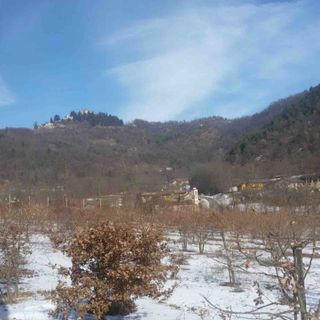 Montemale: un evento speciale dedicato al tartufo nero