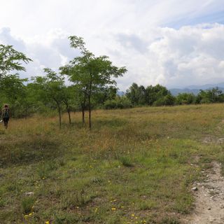 Cuneo, il Parco Fluviale e il &quot;regno delle orchidee&quot;