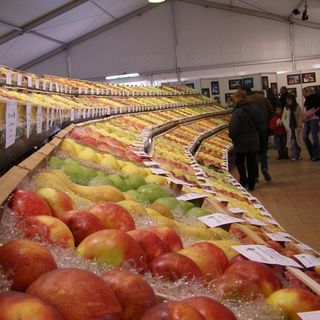 A Cavour è tutto pronto per “Tuttomele”: il “punto” insieme ai vertici della Pro loco