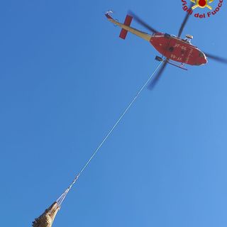 Il recupero dell'animale caduto a Chiusa Pesio