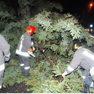 Violenta tromba d’aria nella notte su Ormea e sulle zone limitrofe