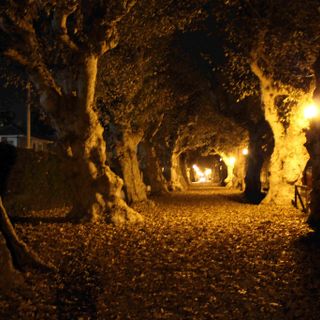 Cherasco: in mostra gli scorci notturni e le chiocciole di Sara Bioletti Priamo