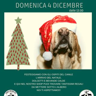 Mercatino di Natale speciale per gli amici a 4 zampe al canile di Cuneo