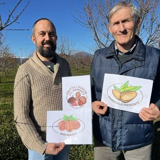 A Cuneo l'assemblea dei soci del Consorzio di Tutela e Valorizzazione della Frutta a Guscio del Piemonte