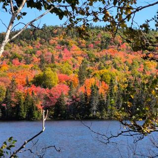 Foliage a Torino (foto di Valerio Minato), in Quebec (foto di Ivana Baudino) e in Francia (foto di Agostino Angeli) Foliage a Torino (foto di Valerio Minato), in Quebec (foto di Ivana Baudino) e in Francia (foto di Agostino Angeli)