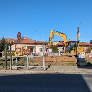 Taglio di alberi a Borgo San Dalmazzo: &quot;Una triste pagina per Borgo Nuovo&quot;