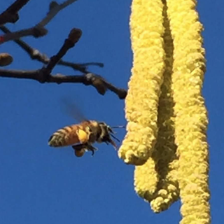 Immagine di repertorio