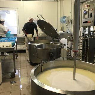 Agricoltura, 25 anni della Legge di orientamento: aziende sempre più multifunzionali