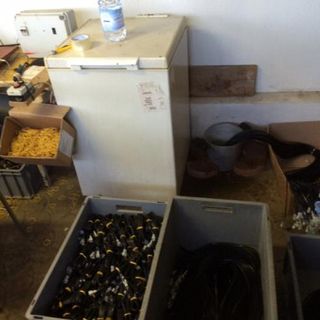 Dronero, Savigliano e Roccabruna, lavoratori sfruttati e non in regola