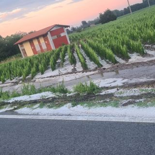 Foto di Alex Candela