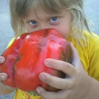 Arriva la Fiera Nazionale del Peperone di Carmagnola