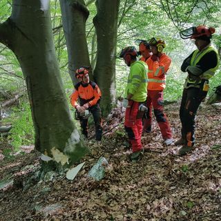 Al CfpCemon superate le 2500 ore di formazione in ambito forestale: "Un sentito grazie a chi ha collaborato"