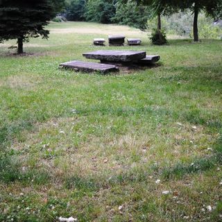 Due cerchi di 3 metri di diametro: sul Lungopo di Paesana il micelio dei funghi fa pensare allo sbarco di un paio d’Ufo