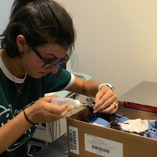 Immagine di repertorio