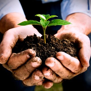 Cortemilia, presentazione della Scuola Rurale della Valle Bormida