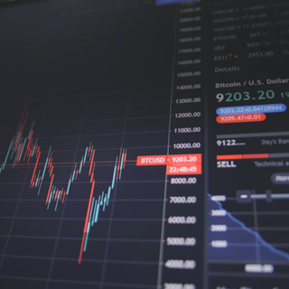 Hex Coin e Cardano potrebbero presto perdere il loro dominio sul mercato a causa di Big Eyes Coin