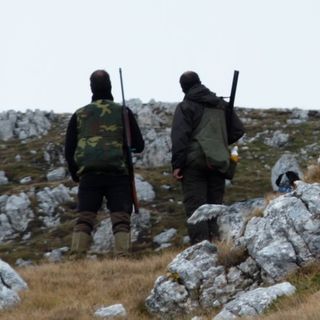 "Vorrei dire a Valmaggia ed Allemano, novelli Alice nel Paese delle Meraviglie, ciò che sul Parco del Monviso continuano candidamente ad ignorare"