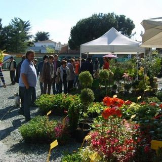 Sabato 5 e domenica 6 aprile, a Scarnafigi, c’è la “Fiera di primavera”