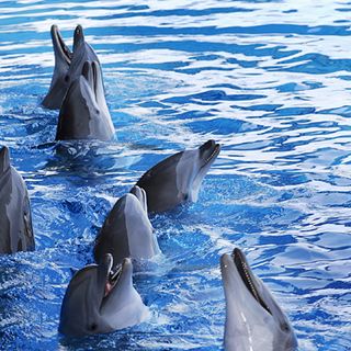 Saluzzo, viaggi di andata e ritorno dal movimento al suono