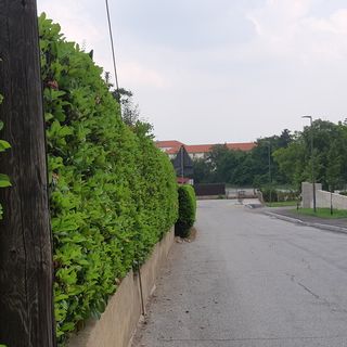 La futura via Rita Levi Montalcini