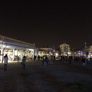 In crescita i contagi e le classi in quarantena a Cuneo: cancellato anche l'evento di Capodanno in piazza Foro Boario In crescita i contagi e le classi in quarantena a Cuneo: cancellato anche l'evento di Capodanno in piazza Foro Boario