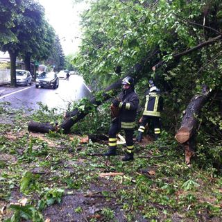 Immagine di repertorio