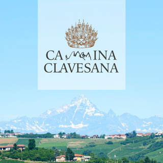 Cammina Clavesana, passeggiate e brindisi d'estate tra le vigne