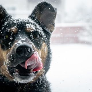 Photo by Kameron Kincade on Unsplash Photo by Kameron Kincade on Unsplash