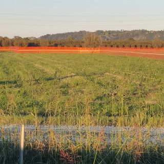Incontro pubblico a Govone sull'impianto Biometano: si prepara il cantiere, in attesa della risposta del TAR Incontro pubblico a Govone sull'impianto Biometano: si prepara il cantiere, in attesa della risposta del TAR