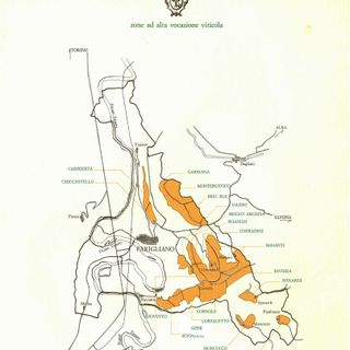 A Farigliano riunione in Comune sulla "zonazione" vitivinicola del paese