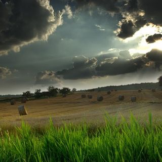 In arrivo un weekend di maltempo, ma il caldo tornerà a sfiorare i 40°C nei prossimi giorni