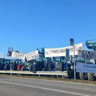 Emergenza cinghiali, a un anno dalla petizione il CoAARP tuona: "Silenzio assordante dalle istituzioni" Emergenza cinghiali, a un anno dalla petizione il CoAARP tuona: "Silenzio assordante dalle istituzioni"