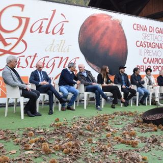 Anticipato di una settimana il 31° Gala della castagna d'oro a Frabosa Sottana