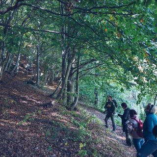 Venerdì 20 agosto, "Amor mi mosse" propone un' escursione dantesca a Palanfrè